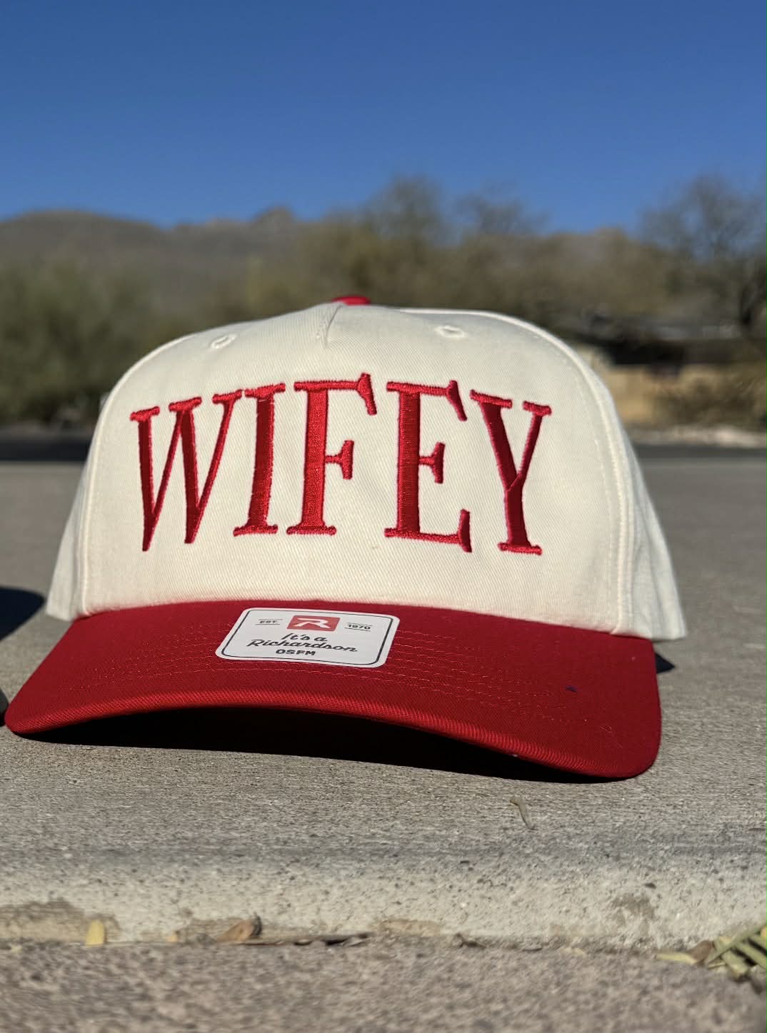 Structured Embroidered Hats- Richardson