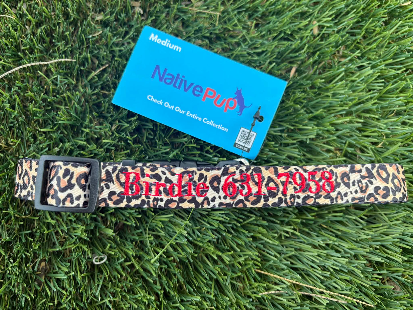 Personalized Nylon Dog Collar