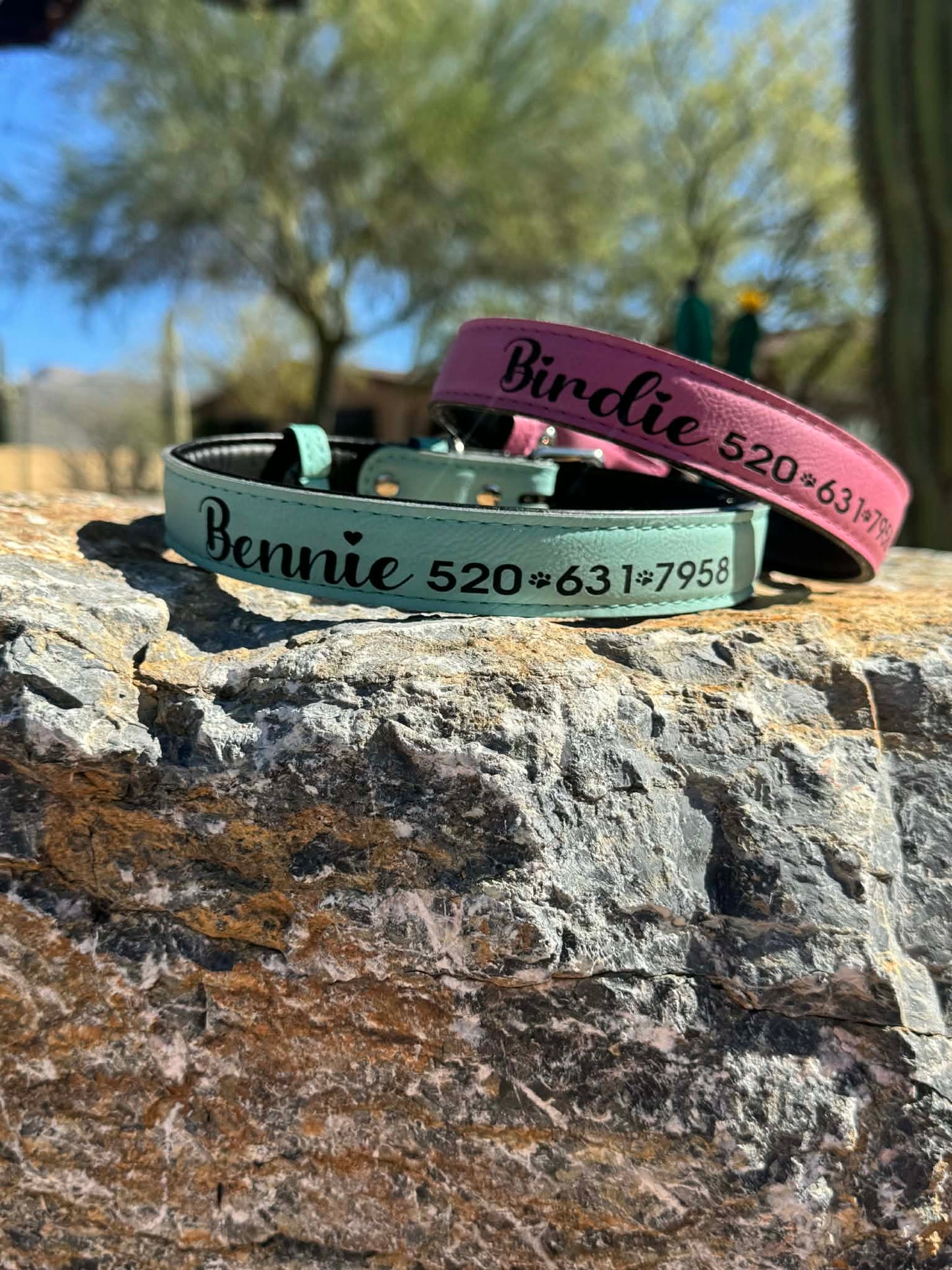 Customizable Dog Collars