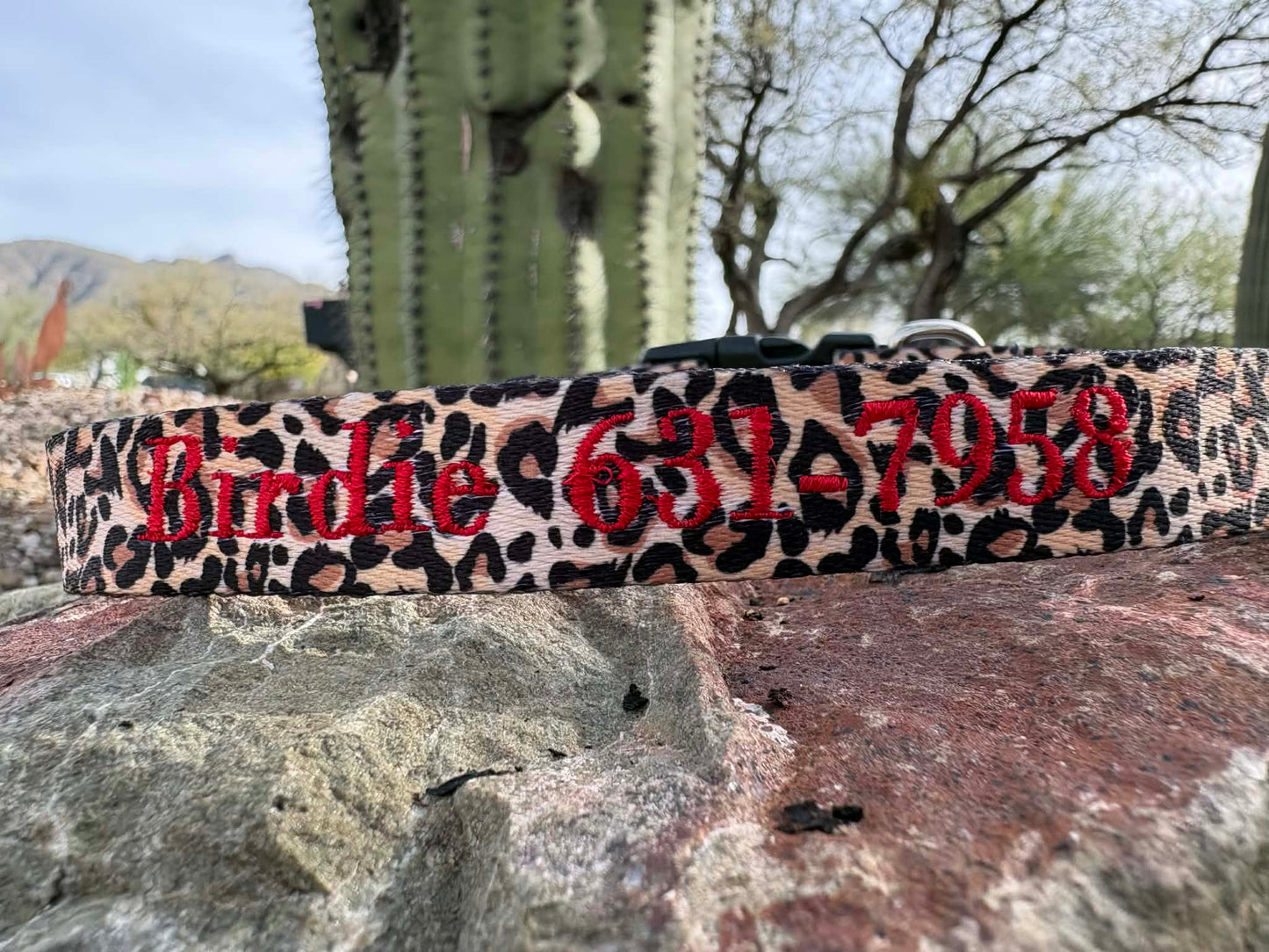 Personalized Nylon Dog Collar